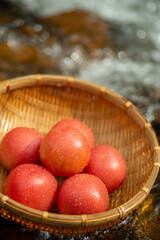 冷えた新鮮なトマト