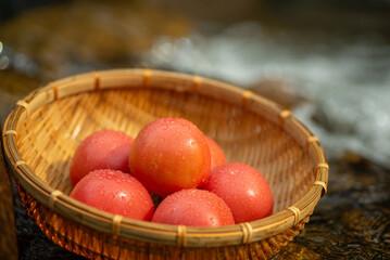 冷やした新鮮なトマト