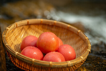 冷やした新鮮なトマト