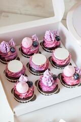 Gift cardboard box with pink cupcakes decorated with meringues and fresh blueberry with copy space for text. Present for a girl or a young woman