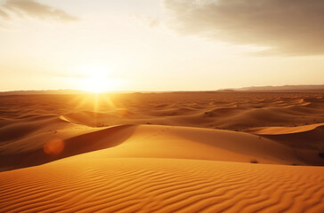 Fototapeta na wymiar sand dunes in the desert at sunset