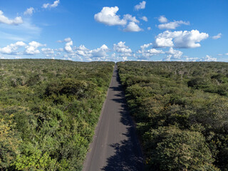 Small highway in the Brazilian savannah in a beautiful autumn sunset