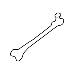 Bone, anatomy flat line icon. Human bone.