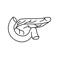 Obraz premium Pancreas, anatomy flat line icon. Human pancreas