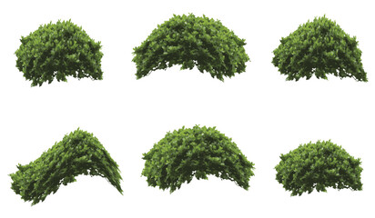 set of bush grass shrub illustration vector transparent background eps 10