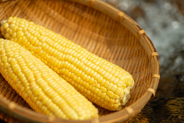 新鮮なトウモロコシ