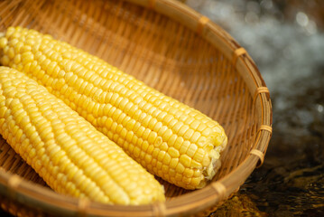 新鮮なトウモロコシ