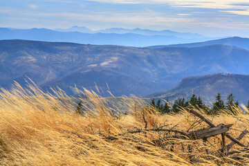 View through tall dry grass from the hiking trail near Skrzyczne on an autumn sunny afternoon in Beskid Śląski, Poland