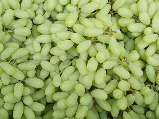 Seedless green grapes,close up view