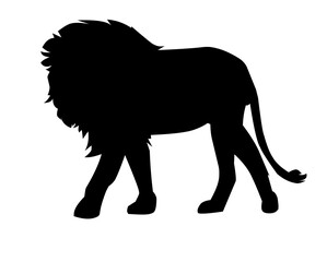 silhouette of a golden lion male