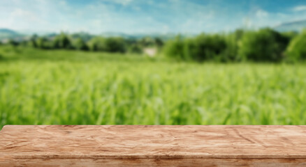 Fototapeta premium beautiful landscape of a defocused field with a focused tablet
