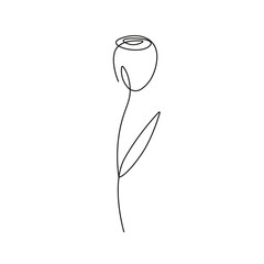 Continuous Line Drawing Of Plant Black Sketch of Rose Flower Isolated on White Background. Simple Flower One Line Illustration in Minimalist Style. Vector EPS 10.