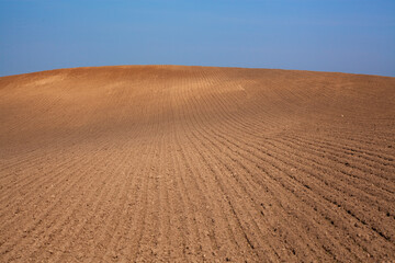 Rural landscape. Row plowed field with cereals sown or prepared field for planting against blue sky. Agricultural land.