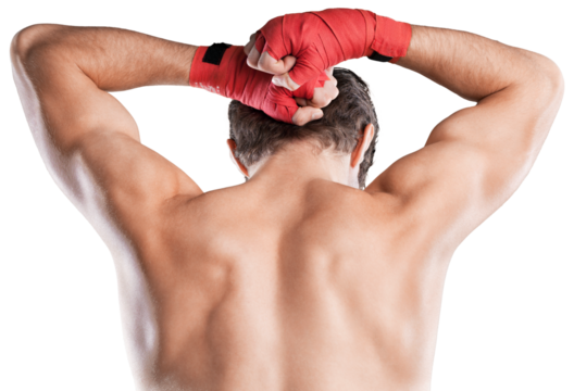 Male Boxer , Kickboxer, Back View