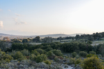 wooded hills around Alacati (Cesme, Izmir province, Turkiye)