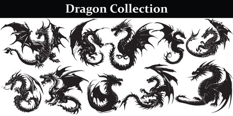 Black Dragon silhouette vector design 