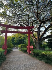 japanese garden in spring