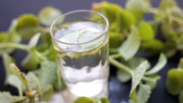 Dolly shot of Trachyspermum ammi or Ajwain leaves on a black surface along with its extracted water in a glass, HD footage 24FPS.