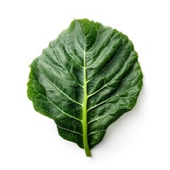 Fototapeta premium Collard leaf isolated on white background. Generative AI