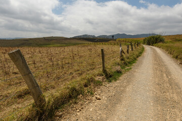 Obraz premium Harvested maize field by the road with a bar wire fence