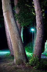 bei Nacht