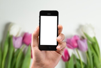 Mobile phone in human hand and spring flower