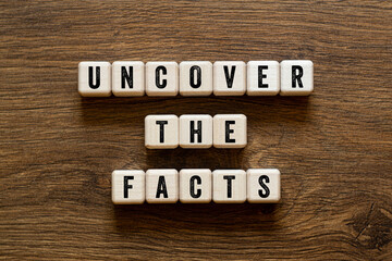 Uncover the facts - word concept on building blocks, text