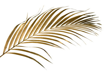 Golden palm leaf PNG on transparent background Abstract monstera leaf decoration design, PNG	