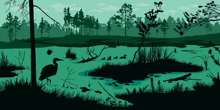 Horizontal swamp landscape. Marsh silhouette background with forest and birds. Pond outdoor panorama. River morning scene