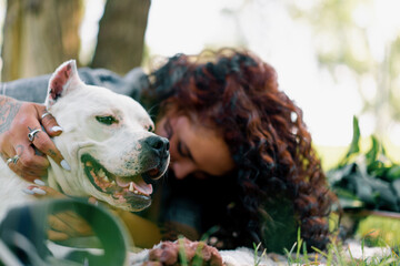 beautiful white dog of pitbull breed staffordshire terrier on a walk in the park with the owner on...