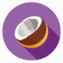 Vector illustration of fresh and juicy coconut