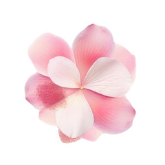 Fototapeta na wymiar Lovely Silk Flowers ai generative