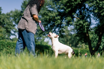 a young girl plays with a white dog of a large pit bull breed in the park, teasing her with a toy