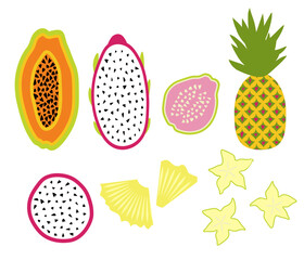 Exotic tropical fruit set: papaya, pitaya, carambola, guava and pineapple. Isolated objects with vector illustration