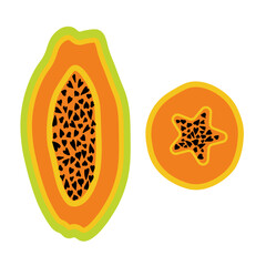 Exotic tropical fruit papaya: isolated object with vector illustration. Perfect for prints, posters, tags etc.