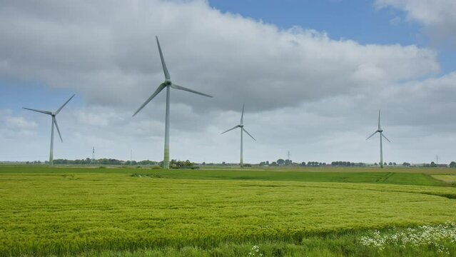 Wind Turbines on a barley field in East Frisia on a windy summer day in 2023. Barley Field moving in the wind like waves in the foreground. Dramatic sky.