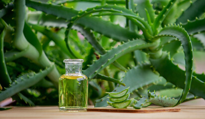 aloe vera essential oil on a wooden background, juice.