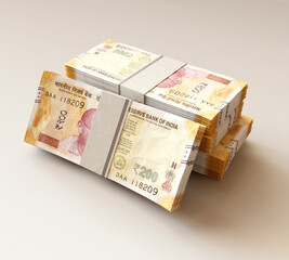 Rupee Cash Note Pile