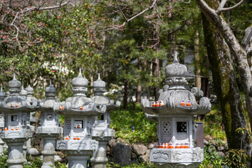mini Daruma doll over japanese old lamp in Katsuoji Temple