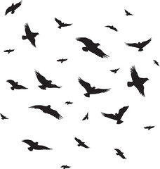 Black vector flying birds flock silhouettes isolated on white background