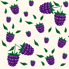 Vector graphics. background with blackberries. purple blackberry with green leaves