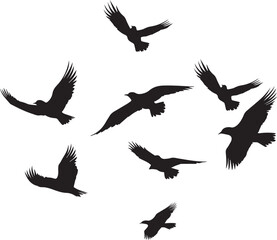 Obraz premium Black vector flying birds flock silhouettes isolated on white background