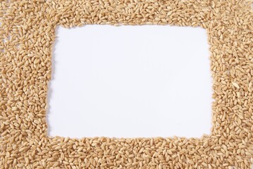 Whole Wheat Frame Background
