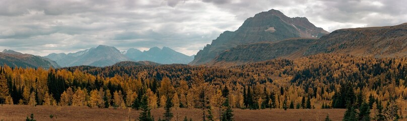 autumn in the mountains of Alberta