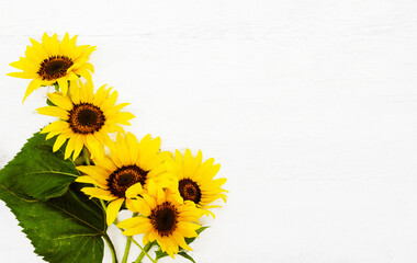 Yellow bright sunflowers on an old painted white wooden background with copy space, flat lay, top view. Floral summer background	