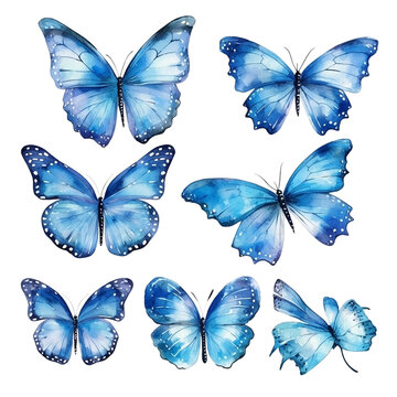 Water Color Butterfly Set Clipart AI Generate No Background