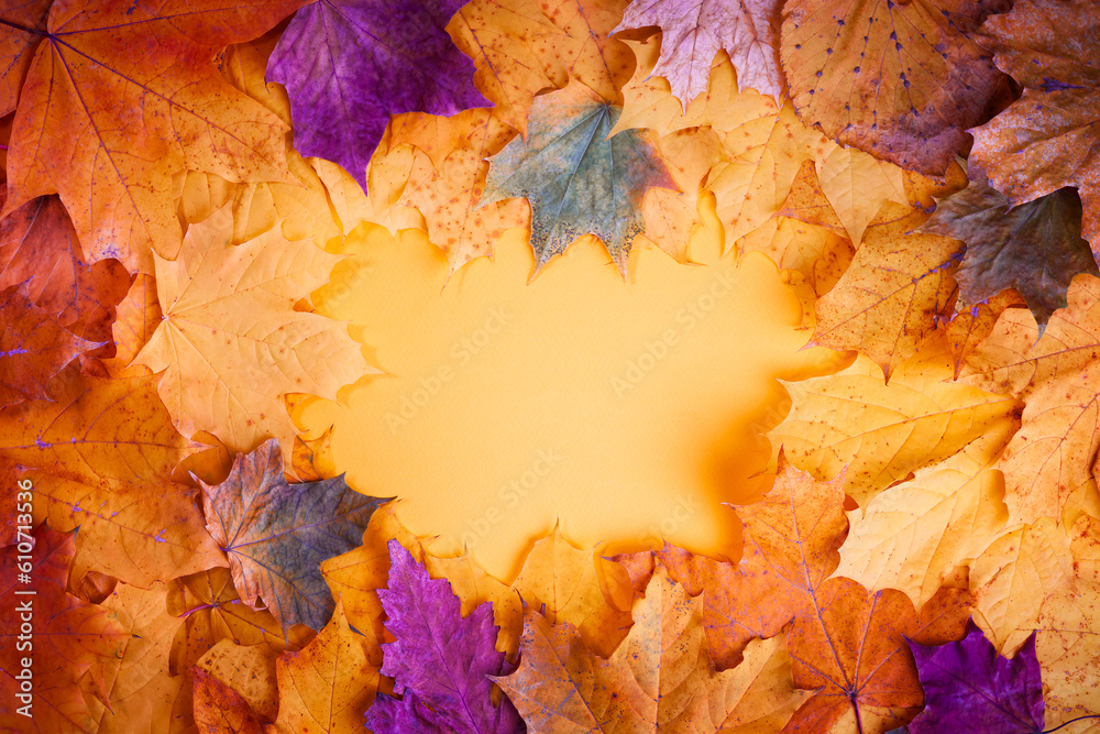 Wall mural autumn concept - background of autumn fallen leaves of different colors with a place for text in the