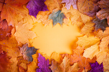 Autumn concept - background of autumn fallen leaves of different colors with a place for text in the middle, yellow, copy space
