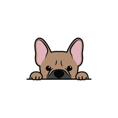 Cute French Bulldog fawn color peeking cartoon, vector illustration