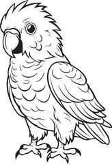 Parrot, colouring book for kids, vector illustration